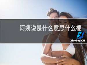 阿姨说是什么意思什么梗