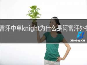 阿富汗中单knight为什么是阿富汗外援什么梗
