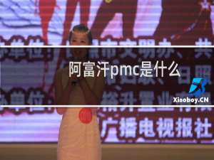 阿富汗pmc是什么