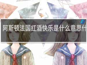 阿斯顿法国红酒快乐是什么意思什么梗