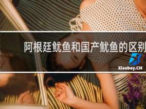 阿根廷鱿鱼和国产鱿鱼的区别
