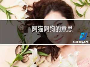 阿猫阿狗的意思