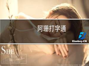 【阿珊打字通】免费阿珊打字通软件下载