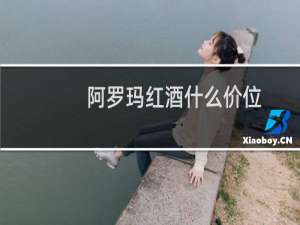 阿罗玛红酒什么价位