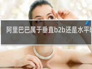 阿里巴巴属于垂直b2b还是水平b2b