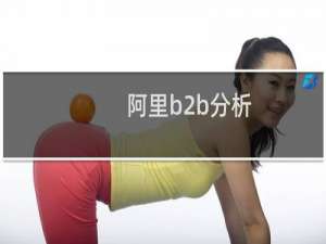 阿里b2b分析
