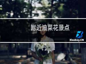 附近油菜花景点