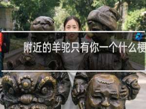 附近的羊驼只有你一个什么梗