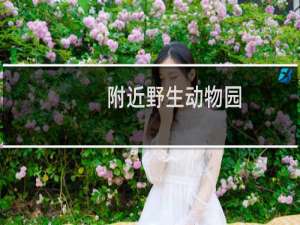 附近野生动物园