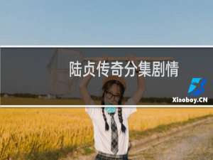 陆贞传奇分集剧情（陆贞传奇分集剧情介绍）