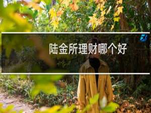 陆金所理财哪个好