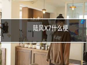陆风X7什么梗
