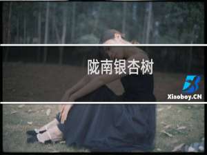 陇南银杏树