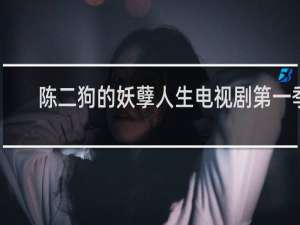 陈二狗的妖孽人生电视剧第一季