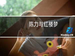 陈力与红楼梦