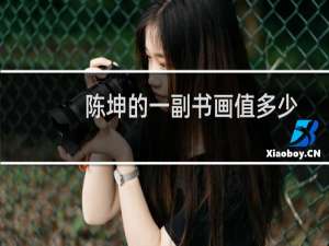 陈坤的一副书画值多少