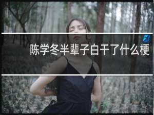 陈学冬半辈子白干了什么梗