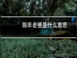 陈年老梗是什么意思