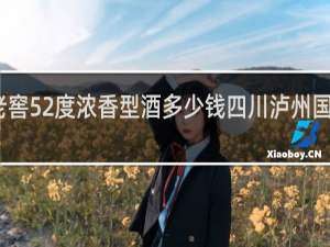 陈年老窖52度浓香型酒多少钱四川泸州国窖广场地址