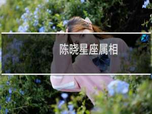 陈晓星座属相