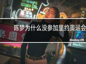 陈梦为什么没参加里约奥运会