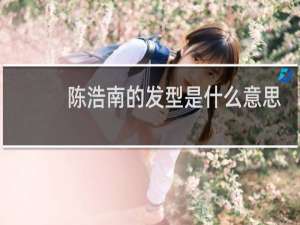 陈浩南的发型是什么意思