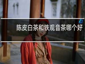 陈皮白茶和铁观音茶哪个好