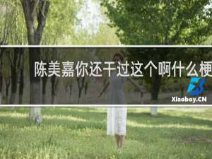 陈美嘉你还干过这个啊什么梗