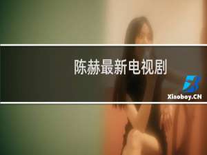 陈赫最新电视剧