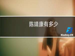 陈靖康有多少