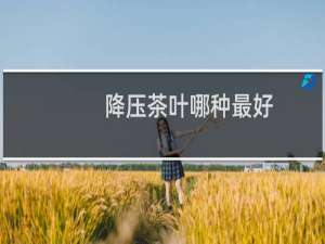 降压茶叶哪种最好