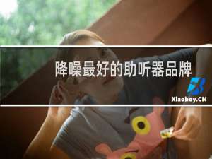 降噪最好的助听器品牌
