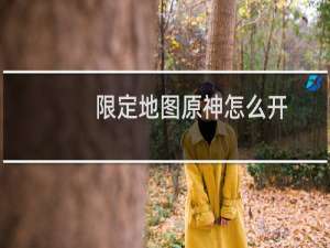 限定地图原神怎么开