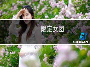 限定女团
