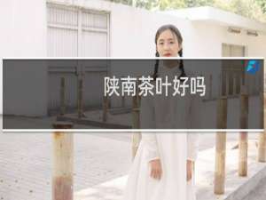 陕南茶叶好吗