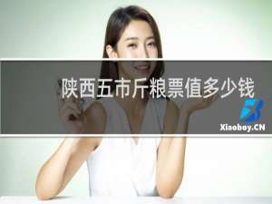 陕西五市斤粮票值多少钱