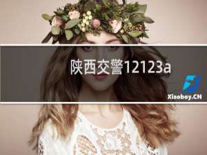 陕西交警12123app（陕西交管12123官网登录是什么）