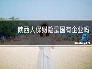 陕西人保财险是国有企业吗