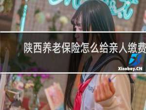 陕西养老保险怎么给亲人缴费