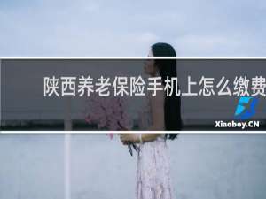 陕西养老保险手机上怎么缴费