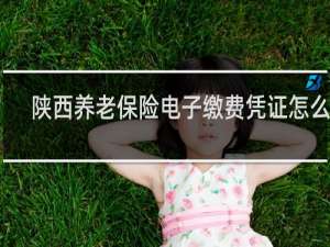陕西养老保险电子缴费凭证怎么找