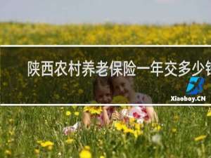 陕西农村养老保险一年交多少钱
