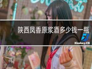 陕西凤香原浆酒多少钱一瓶
