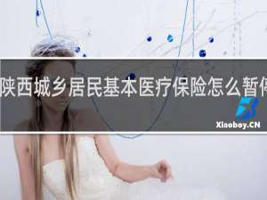 陕西城乡居民基本医疗保险怎么暂停参保