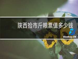 陕西拾市斤粮票值多少钱