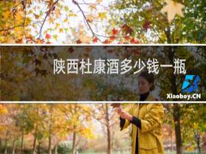 陕西杜康酒多少钱一瓶