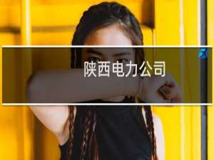 陕西电力公司
