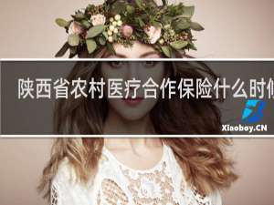 陕西省农村医疗合作保险什么时候交