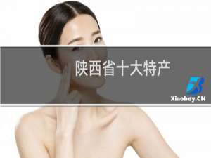 陕西省十大特产（陕西省十大特产）