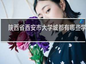 陕西省西安市大学城都有哪些学校